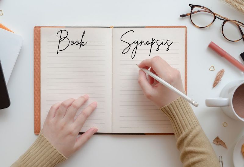 how to write book synopsis, open book editor